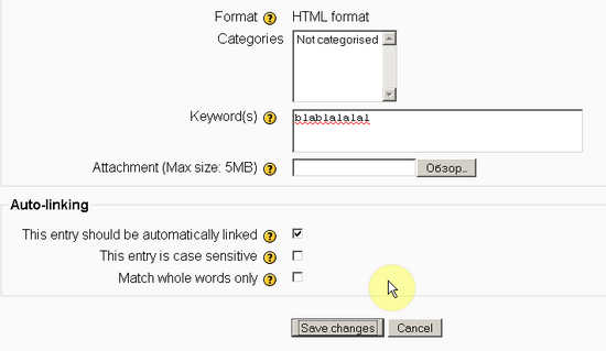 set glossary options